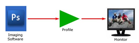 Diagram of monitor profile and data flow