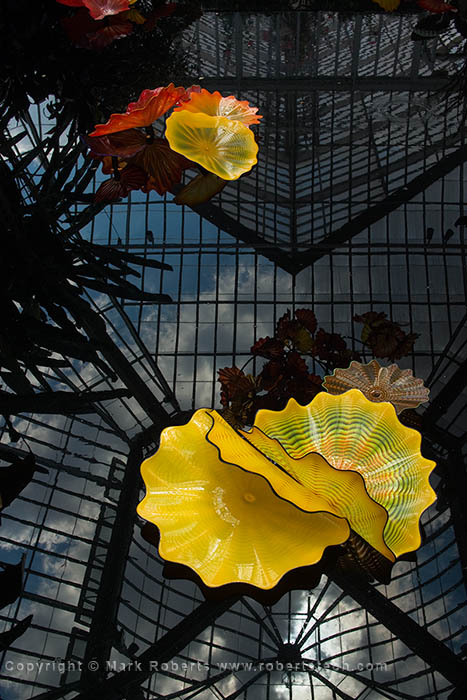Chihuly at Phipps - 7d701968