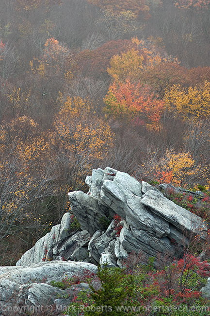 Crags in the Fog - 7d704429