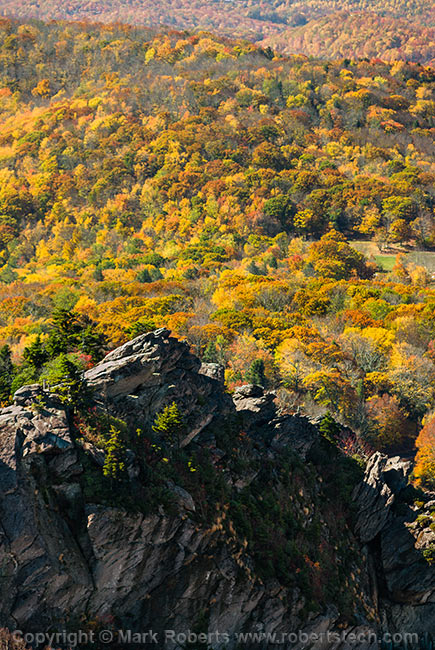 Fall Foliage and Crags - 7d704245