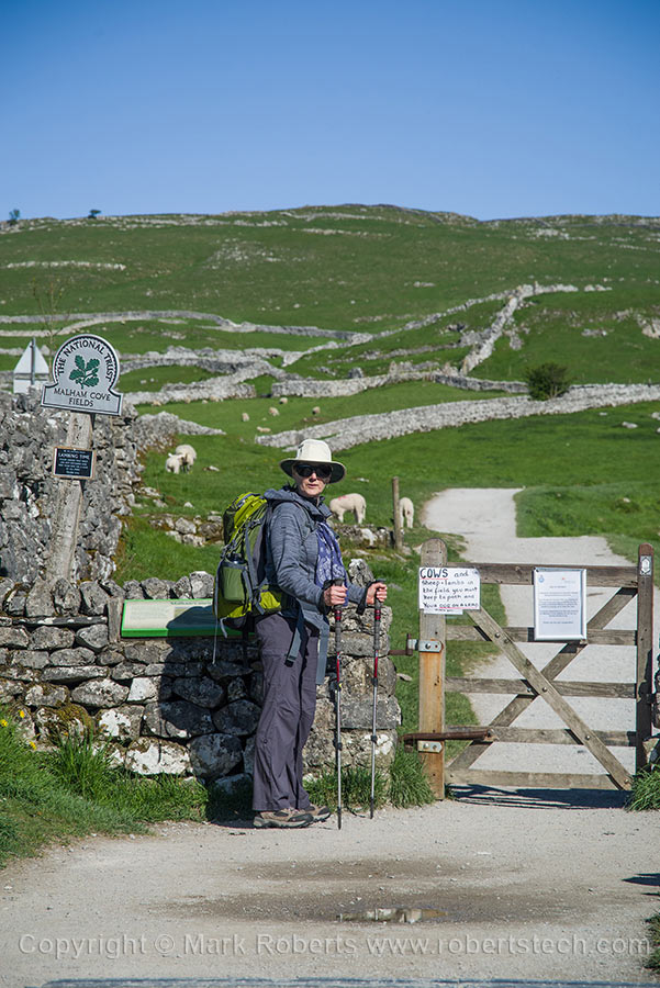 Dry Stone Walls and Sheep; first day's walk out of Malham - 7e201805.jpg